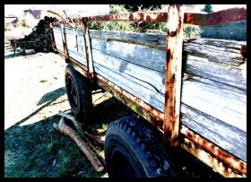 Bilder März 2011 301-001.jpg