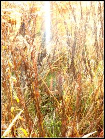 DSCN0654.JPG